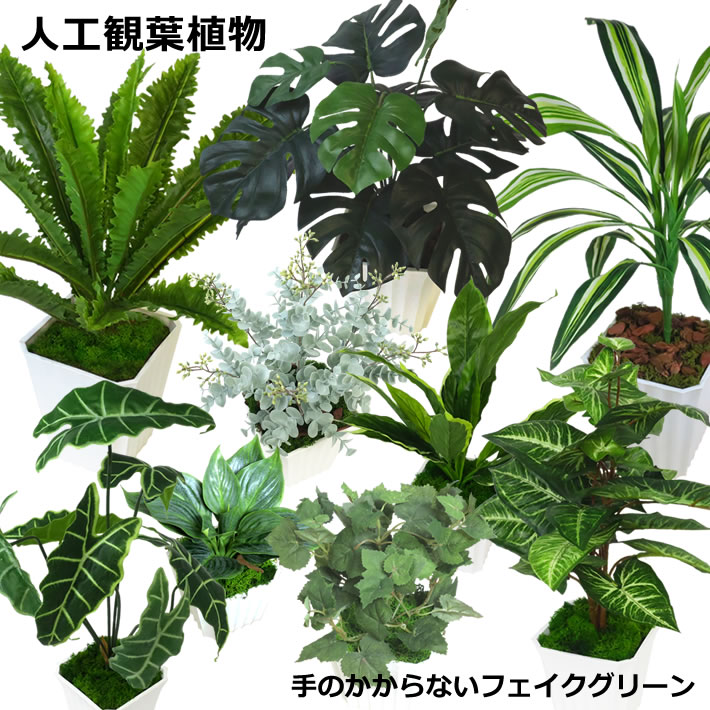  インテリア 葉物『 人工観葉植物 』 9種 6号 5号 4号 フェイクグリーン 人工観葉植物 アーティフィシャル 造花 フラワーギフト 引っ越し 新生活 転居 新築 改築 転勤 昇進 退職 お祝い お礼 感謝 ギフト 贈り物 プレゼント /JGP