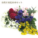 お供え お悔やみ 花 『お供え切花20本セット』お供え お悔やみ 花 生花 切花 御供 供花 墓花 お墓の花 お墓参り 仏花 仏前 仏壇 仏壇用 スプレー菊 小...