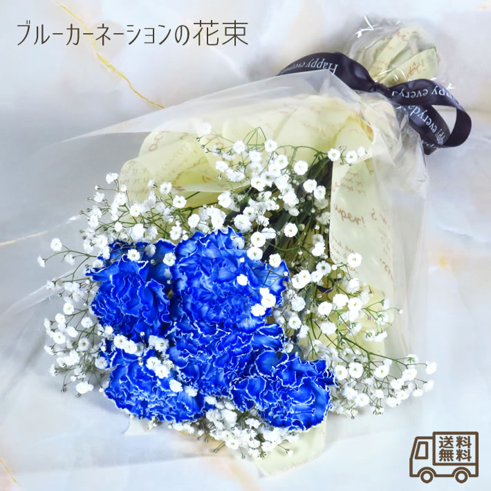 カーネーション 『ブルーカーネーションの花束』 青いカーネーション 青 染め 花 青い花束 カーネーション かすみ草 カスミソウ ハイブリットスターチス 生花 花束 ブーケ 誕生日 還暦 古希 結婚記念日 周年 祝い お見舞い 退院祝い 退職 送別 男性 /FGP