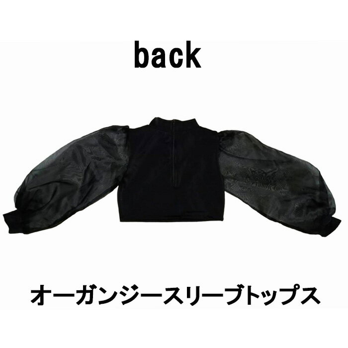 パンジーパニック オーガンジースリーブトップス サイズ　160(M) 170(L)　ホワイト　ブラック　レッド　イエロー　オレンジ　ショッキングピンク　グリーン　キミドリ　ワイン　水色　パープル　JAZZ　ジャズ　WACCK　ワック　ダンス衣装