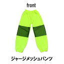 パンジーパニック ジャージメッシュパンツ サイズ 160(M) 170(L) ブラック ホワイト 蛍光 レッド ブルー オレンジ パワーネット パンツ ダンス衣...