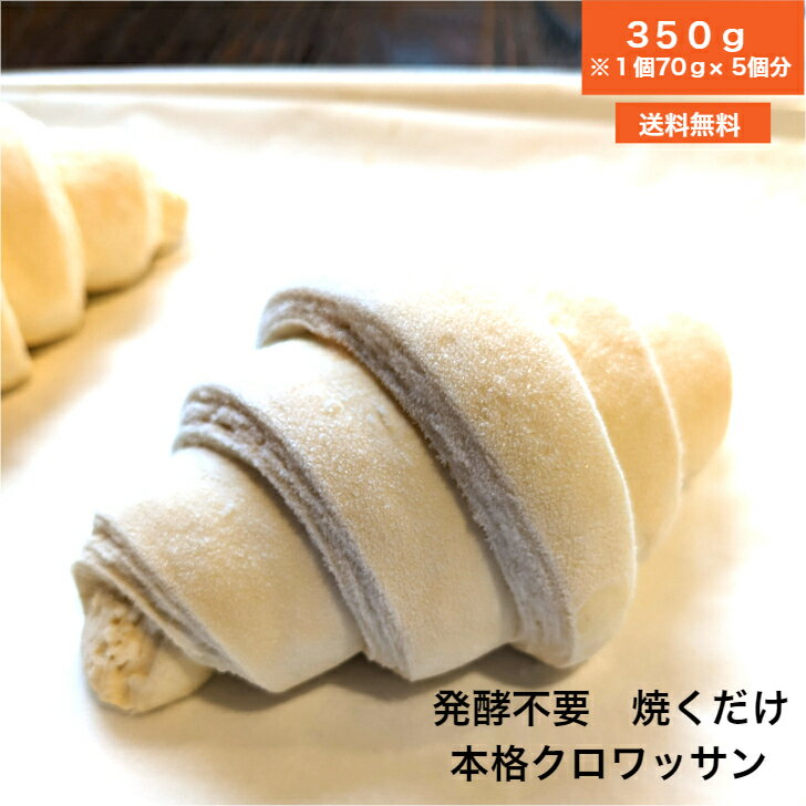 【TV紹介多数】冷凍 クロワッサン 70g×5個 無添加 バタークロワッサン フランス 本場の味 焼き立て 朝食 食事 マーガリン不使用 ショートニング不使用 はちみつ不使用 お菓子作り 料理 手作り スイーツ 母の日