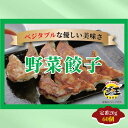 餃子 ギョウザ 大容量 お取り寄せ 食品 冷凍 グルメ 国産牛 ギフト贈答 贈り物 点心 惣菜 おつまみ 野菜餃子20g×60個