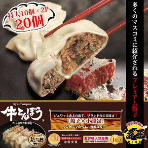 牛とんぽう40g 近江牛使用（特大20個）送料無料 餃子 ギョウザ 通常サイズの約2倍 ギフト ご自宅 国産 おつまみ 冷凍 お取り寄せ