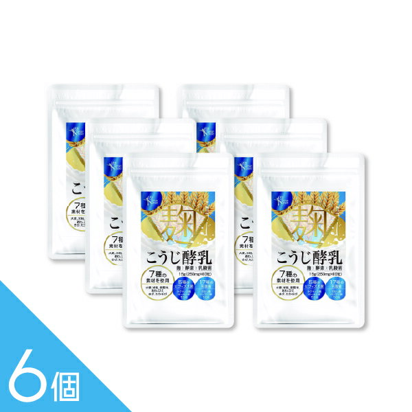 樂天商城 - 【6個】『こうじ酵乳 60粒』麹 酵素 サプリ 穀物麹 乳酸菌 ビフィズス菌 植物発酵エキス オリゴ糖配合 60粒 健康維持 腸内環境を意識する方に サプリメント