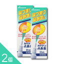 【2個】『カイゲン点鼻薬 30mL』|鼻づまり 鼻みず 花粉症 ハウスダストに|衛生的噴霧で即効スッキリ【第2類医薬品】
