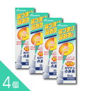 【4個】『カイゲン点鼻薬 30mL』|鼻づまり 鼻みず 花粉症 ハウスダストに|衛生的噴霧で即効スッキリ【第2類医薬品】