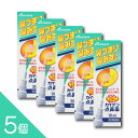 【5個】『カイゲン点鼻薬 30mL』|鼻づまり 鼻みず 花粉症 ハウスダストに|衛生的噴霧で即効スッキリ【第2類医薬品】