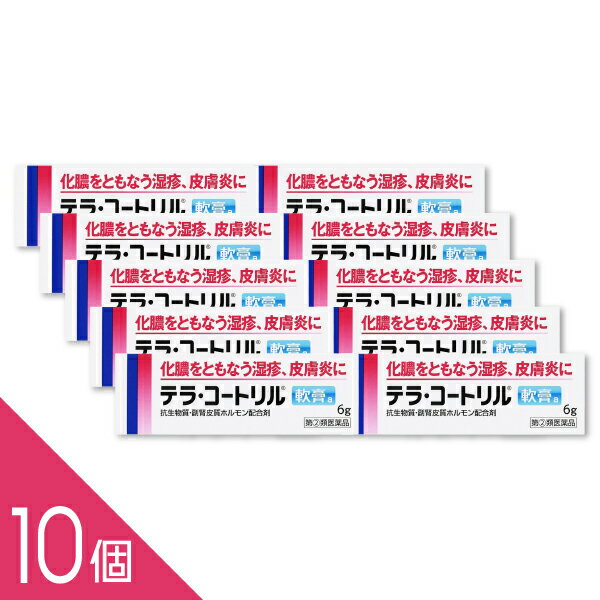 ��10�ġۡإƥ顦�����ȥ�����a 6g�� �᡼���� �ƥ饳���ȥ�� ����ʪ���ȥ��ƥ�������� ��ǿ��ȼ��:���� ����� ������ ���֤� ����ޤ������(2)��...