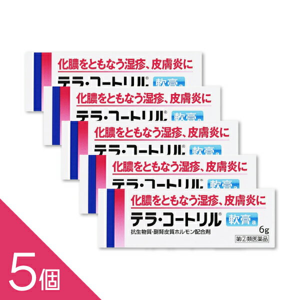 ��5�ġۡإƥ顦�����ȥ�����a 6g�� �᡼���� �ƥ饳���ȥ�� ����ʪ���ȥ��ƥ�������� ��ǿ��ȼ��:���� ����� ������ ���֤� ����ޤ������(2)���...