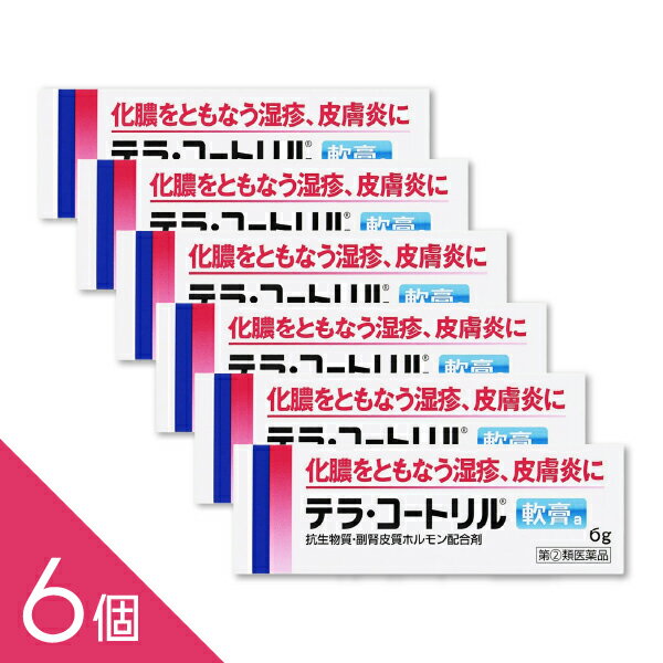 ��6�ġۡإƥ顦�����ȥ�����a 6g�� �᡼���� �ƥ饳���ȥ�� ����ʪ���ȥ��ƥ�������� ��ǿ��ȼ��:���� ����� ������ ���֤� ����ޤ������(2)���...