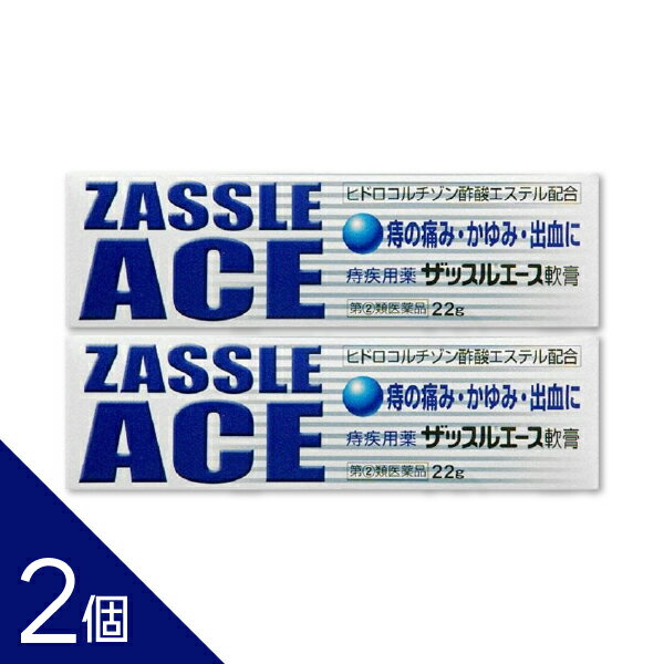 【2個】『ザッスルエース軟膏 22g』痔の痛み・かゆみ・出血に｜患部の炎症を鎮める痔疾患用軟膏【第(2)類医薬品】