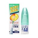 【第2類医薬品】『カイゲン点鼻薬 30mL 5個セット』