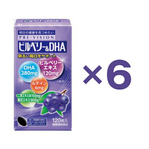 『 プレビジョン　ビルベリー＆DHA　120粒入り 6個セット』