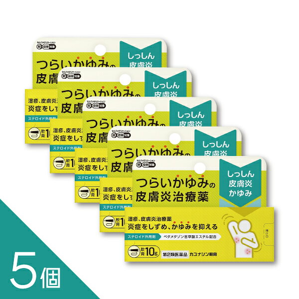 【5個】【ステロイド軟膏】『カユナシン軟膏 10g』 つらいかゆみ 湿疹に 季節の肌トラブル改善 │皮膚炎 あせも かぶれ 虫刺され じんましん【第(2)類医薬品】