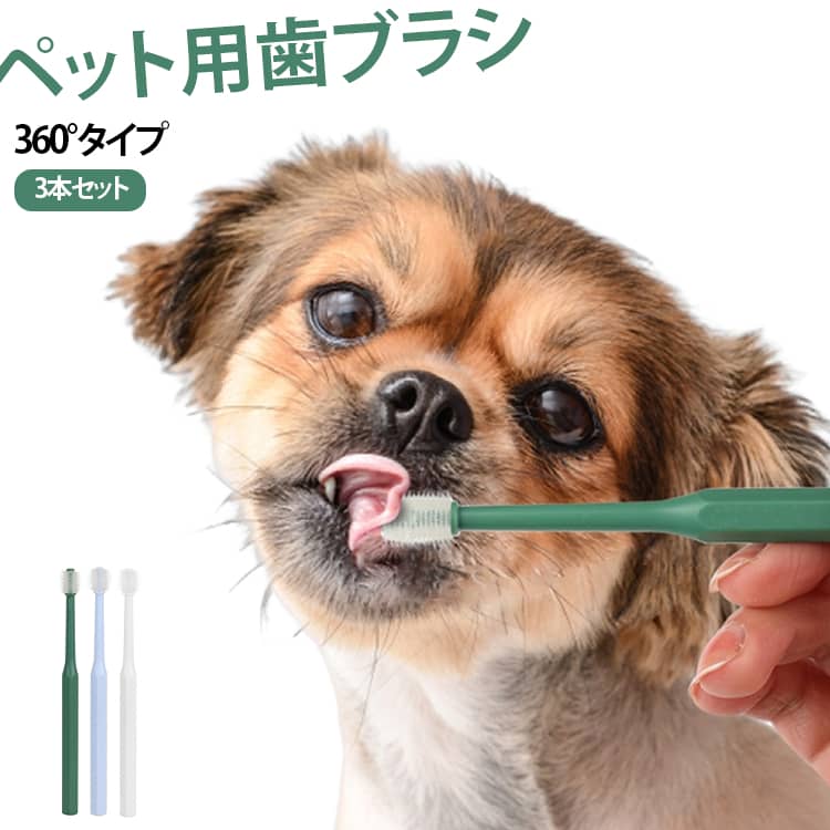愛犬・愛猫の毎日のオーラルケアに使いやすい、ペット用歯ブラシです。高密度で柔らかい毛が、歯と歯ぐきのすき間にしっかりと届き、やさしく汚れを除去します。ペット用歯磨き粉と併用することで、歯の表面の汚れや食べ残しをブラッシングし、毎日の口腔ケアをサポートします。 360°ブラシ構造により、どの角度からでもスムーズに磨けるので、歯みがきが苦手なペットにも使いやすいのが特長。犬用・猫用として使いやすく、小型犬や子猫などのデンタルケアにもおすすめです。大切なペットのお口を清潔に保つための便利なデンタルケアアイテムです。 サイズ F サイズについての説明 F　1.2*15.5cm 素材 TPE、プラスチック 色 3本ホワイト 3本ブルー 3本グリーン 3本全3色 備考 ●サイズ詳細等の測り方はスタッフ間で統一、徹底はしておりますが、実寸は商品によって若干の誤差(1cm～3cm )がある場合がございますので、予めご了承ください。 ●製造ロットにより、細部形状の違いや、同色でも色味に多少の誤差が生じます。 ●パッケージは改良のため予告なく仕様を変更する場合があります。 ▼商品の色は、撮影時の光や、お客様のモニターの色具合などにより、実際の商品と異なる場合がございます。あらかじめ、ご了承ください。 ▼生地の特性上、やや匂いが強く感じられるものもございます。数日のご使用や陰干しなどで気になる匂いはほとんど感じられなくなります。 ▼同じ商品でも生産時期により形やサイズ、カラーに多少の誤差が生じる場合もございます。 ▼他店舗でも在庫を共有して販売をしている為、受注後欠品となる場合もございます。予め、ご了承お願い申し上げます。 ▼出荷前に全て検品を行っておりますが、万が一商品に不具合があった場合は、お問い合わせフォームまたはメールよりご連絡頂けます様お願い申し上げます。速やかに対応致しますのでご安心ください。