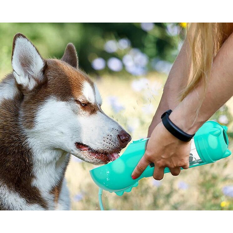 �ڥå��� ���� �����������ܥȥ� ���ܥȥ� ���� �ڥå��� ���� ����ĥ����� ���ӿ��� ���� ������ ǭ�� ���� ���Ф��� ���� ���Ф���