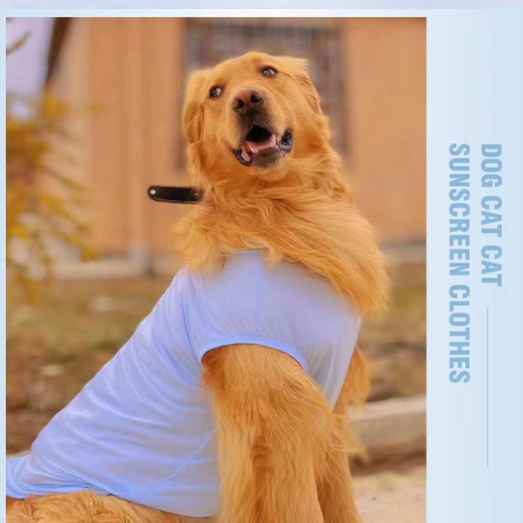 犬 服 服 夏服 夏用 接触冷感 熱中症対策 クール ひんやり 男の子 冷却 タンクトップ 暑さ対策 犬 女の子 ペット ドッグウェア かわいい おしゃれ 夏服 冷感 涼しい 涼感 犬の服 部屋着 小型犬 グッズ ひんやりグッズ ひんやりグッズ