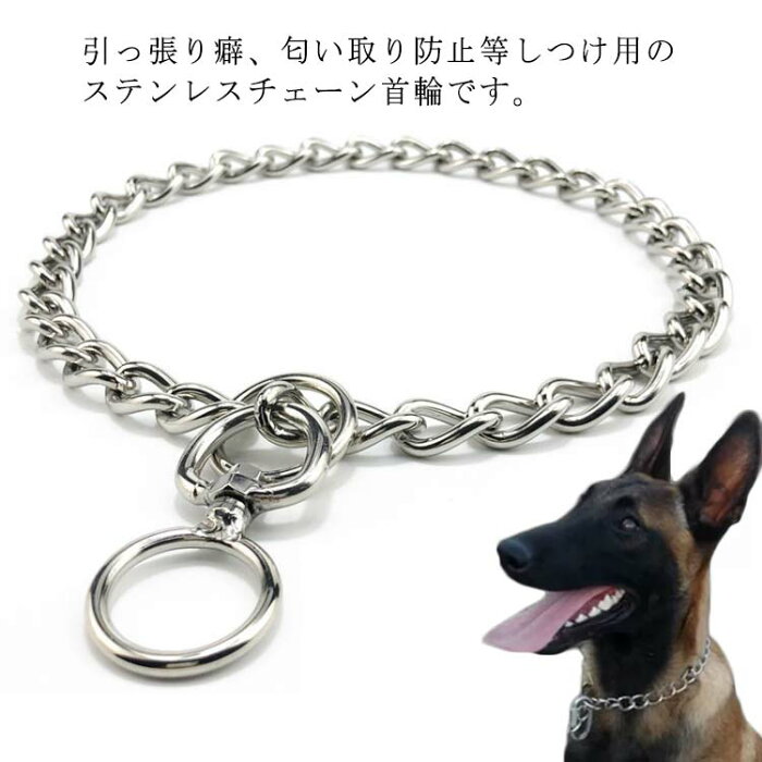 犬 首輪 ステンレス チェーン 引っ張り しつけ用 訓練 トレーニング 大型犬 簡単装着 中型犬 ベルジアン・マリノア ゴールデンレトリバー ロットワイラー 柴犬 訓練用首輪 犬用品 お散歩グッズ ペット用品 送料無料