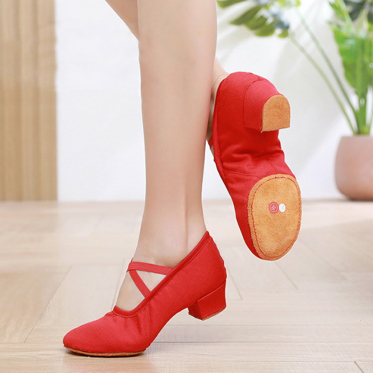 ダンスシューズ ダンスシューズ キャラクターシューズ 社交 シューズ 練習用 モダンダンス フォークダンス フラットシューズ 大人 レディース フラダンス 演奏 合唱 ジャズダンス レッスン 低いヒール 布製