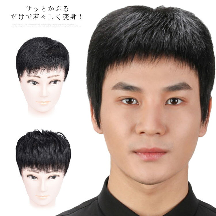 ウィッグ 人毛100% 総手植え フルウイッグ メンズウィッグ 医療用かつら 医療用ウィッグ ファッションウィッグ 自然 オールウィッグ 全頭かつら 送料無料 通気性 耐熱 ナチュラル 薄毛 白髪隠し 黒髪 会社 仕事 人毛かつら カツラ wig コスプレ コスチューム