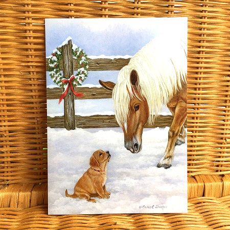 USA LPG クリスマスカード 馬と子犬 Making Friends