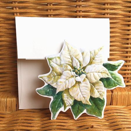 USA Carol Wilson キャロルウィルソン クリスマス カード ミニ ポインセチア 白 White Poinsettia