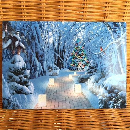 Τ١USA LPG ꥹޥ ĥ꡼ؤξƻ Lighting the Way