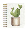 USA Legacy レガシー スパイラルノート サボテン POTTED CACTUS