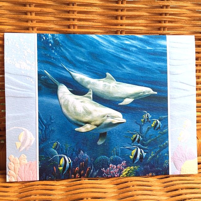 USA Pumpernickel Press 多目的カード 2頭のイルカ Dolphin Duo 2