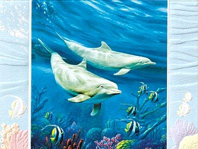 USA Pumpernickel Press 多目的カード 2頭のイルカ Dolphin Duo