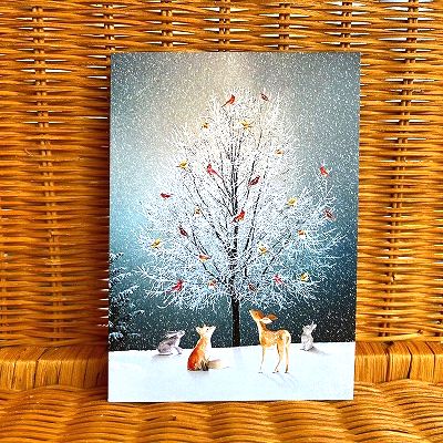 限定数のみ入荷! Tree Free 大判クリスマスカード Bird Tree