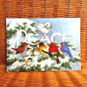USA Masterpiece クリスマスカード 超大判 小鳥Birds on Branch