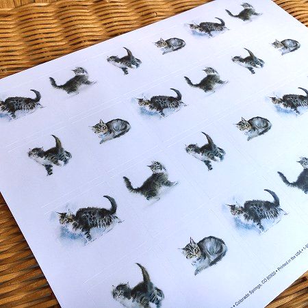 限定数のみ! USA A4シート ステッカー ネコちゃん