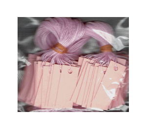 HEIKO ミニパック提札 No.597P (10×25mm) 100枚【PPI】