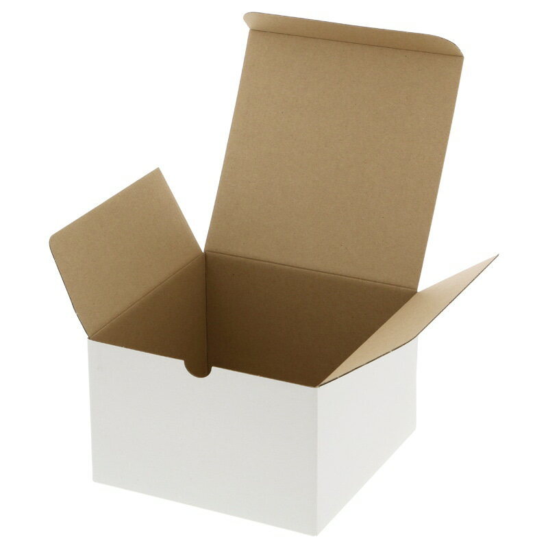 HEIKO 箱 フリーボックス　F－2 165×165×105mm 紙箱 ラッピング【PPI】(3.0)