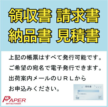 のし袋 御布施の文字入 (10枚入) 激安 熨...の紹介画像3