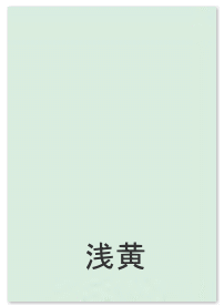 数量限定 激安国産カラーコピー用紙 マルチカラーペーパー 浅黄 B5 (500枚)