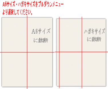 国産 コピー用紙 A6 or はがきサイズ 2000枚 スタンダード タイプ2 (A4カット品) バージンパルプ100％国産PPC用紙