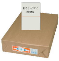 おうむ更紙 B5 8000枚 (B4カット品) あす楽 更半紙 わら半紙 ざら半紙 印刷用紙 学校用紙 沖縄は9800円以上 送料無料