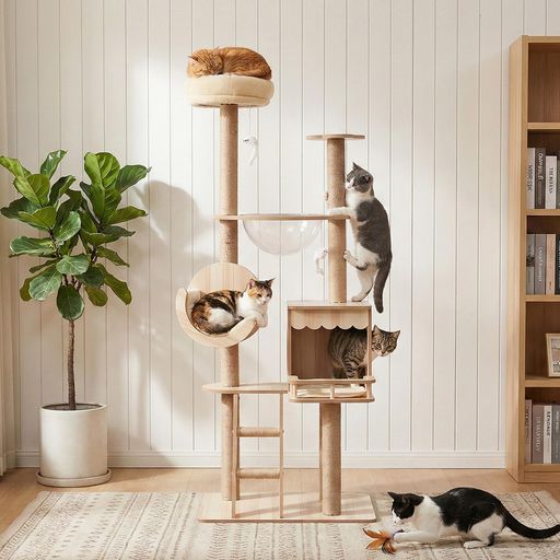Rakuten - Essgudoキャットタワー据え置き型猫タワー木製短足猫透明宇宙船爪とぎ突っ張り多ステップ階段付き省スペース展望台安定感運動不足解消角丸加工掃除簡単高さ約155cm
