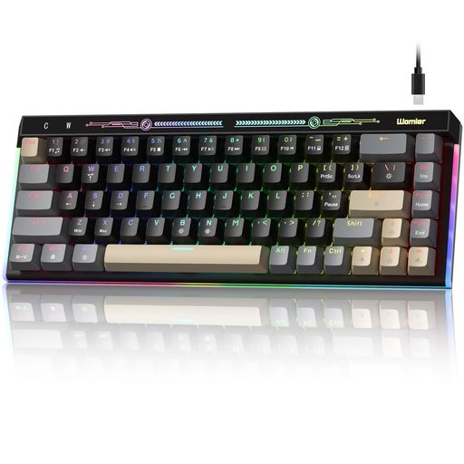 Womier キーボード ポータブル65%メカニカルゲーミングキーボード(ピンク軸)— LED...