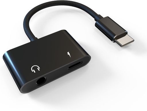 2in1 USB-C イヤホンジャック 変換 Hi-Fi音質 タイプc 急速充電同時音楽 通話可能 音楽調節