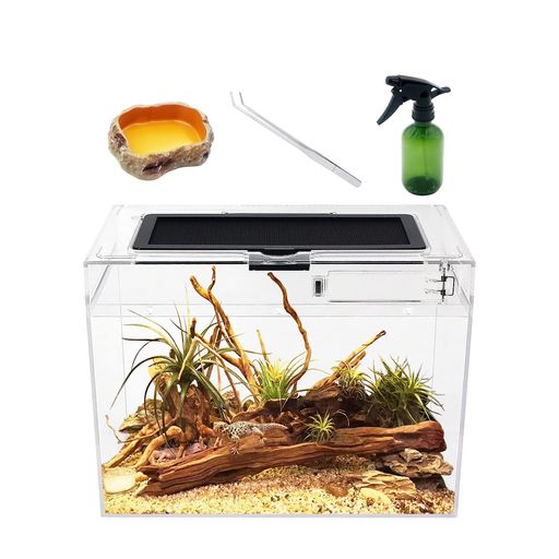 乐天商城 - ReptileGrowth爬虫類ケージ透明爬虫類ケージ飼育容器小動物用カメ亀タンク両生類用飼育ケース飼育ボックス30*18*22cmカメ、クモ、カエル、ゲッコ、カマキリ、ヘビ、サソリ、庵クラブ