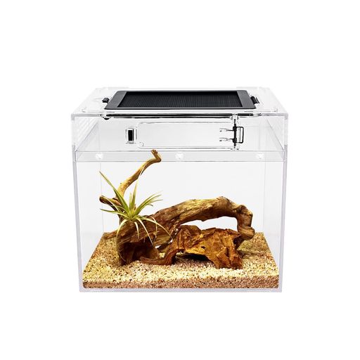 Reptile Growth 小型爬虫類 ケージ 透明 爬虫類ケージ 飼育容器 小動物用 カメ亀 タンク 両生類用飼育ケース 飼育ボックス 20 x 20 x 18 cm, カメ、クモ、カエル、ゲッコ、カマキリ、ヘビ、サソリ…