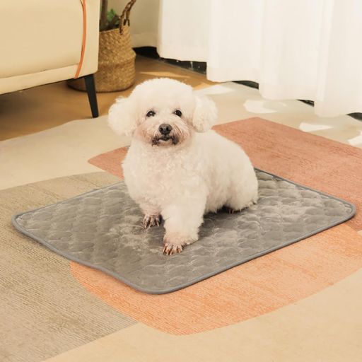 乐天商城 - 洗えるペットシーツ洗える2枚セット滑り止め防水速乾消臭子犬/シニア犬の介護シーツ繰り返し使用可能滑り止め中型大型犬・猫犬用おしっこパッド丸ごと洗えるエコ制菌超吸収ペットシ…