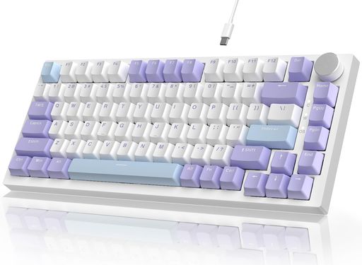 ATTACK SHARKxAJAZZ AK820 75% メカニカルゲーミングキーボード 有線USB-C、 テンキーレス 82キーANSI配列 TKL メカニカルキーボード ホットスワップ 海塩軸 リニアスイッチ 3/5ピンホットGASKET