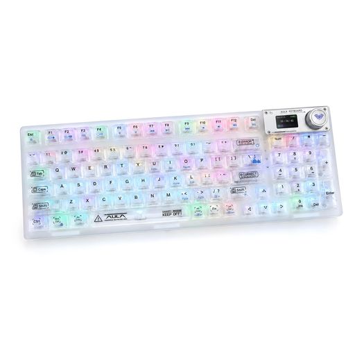 OUSEITECH F98pro ゲーミングキーボード 透明キーボード メカニカルキーボード テンキー ワイヤレス ホワイト 透明キーキャップ ホットスワップ対応 RGBバックライト搭載 95キー トライモード…