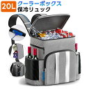 保温ランチバッグ 保冷お弁当バック 大 20L ピクニックバスケット ソフト クーラーボックス 大人用ランチボックス 弁当袋 スポーツ 仕事 買い物 アウトドア...