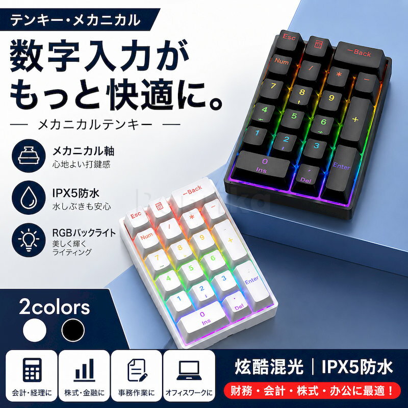 メカニカルテンキー USB 有線 テンキーパッド 20キー 青軸 RGBバックライト Type-C 着脱式ケーブル 電卓キー Nキーロールオーバー IPX5防水 二色成形キーキャップ コンパクト Windows Mac iOS Android対応 2色